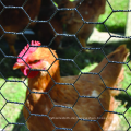 PVC beschichtetes Hühnerzaun hexagonales Netz
